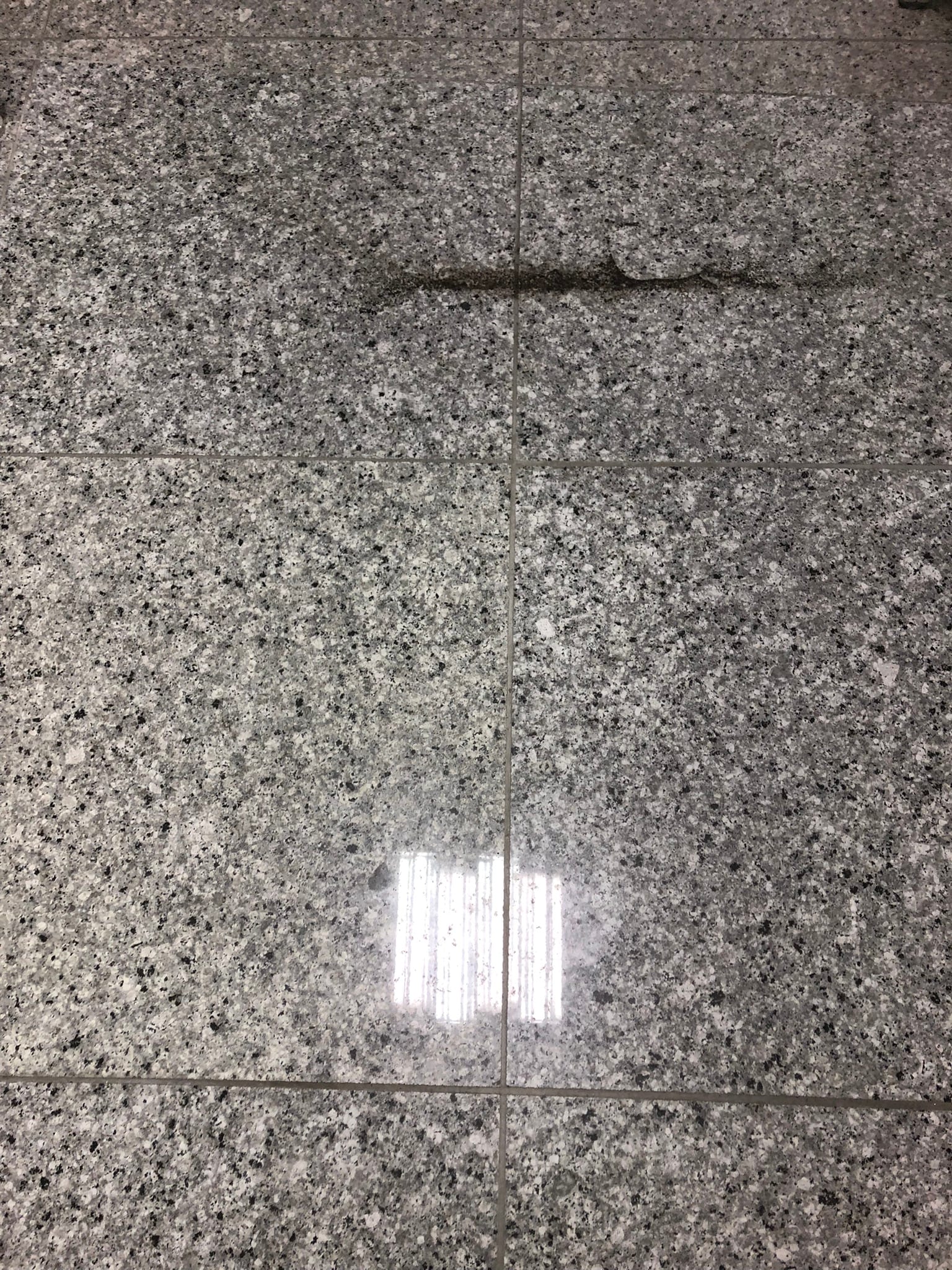 수원 장안구 카펫청소 시공 사진